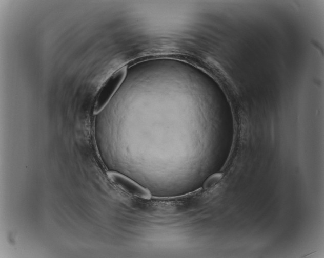 X0000099931457200806061442