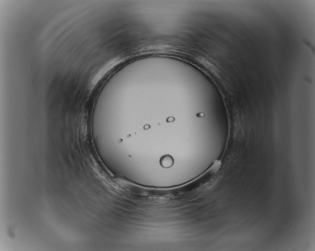 X0000099931458200806061442