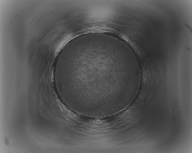 X0000099931459200806061442