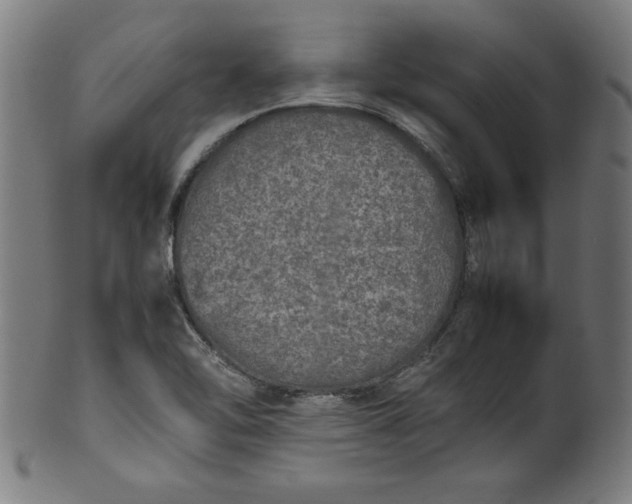 X0000099931462200806061442