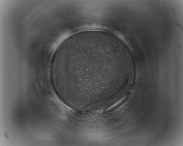 X0000099931463200806061442