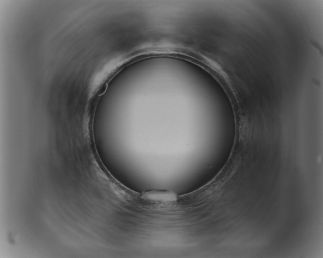 X0000099931464200806061442