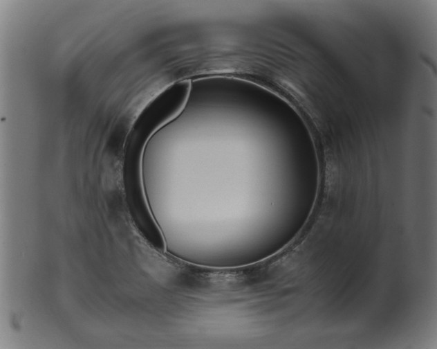 X0000099931465200806061442