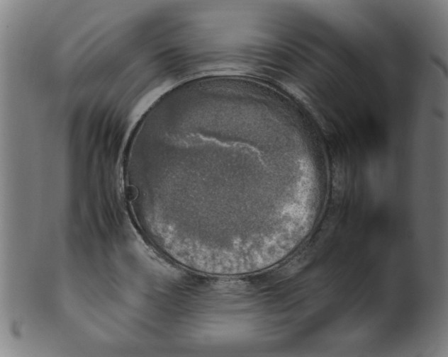 X0000099931466200806061442