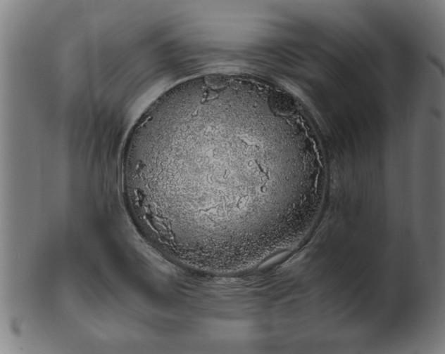 X0000099931467200806061442