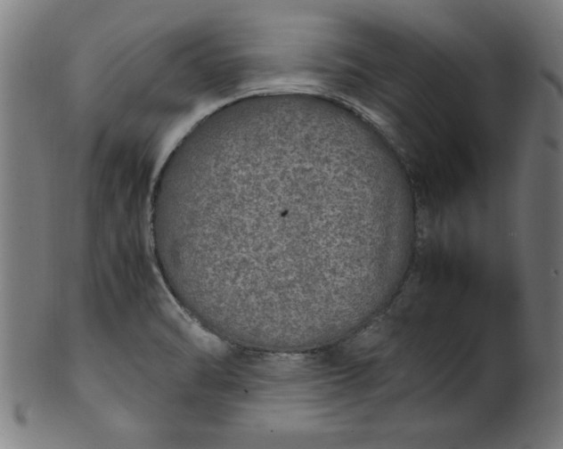 X0000099931470200806061442