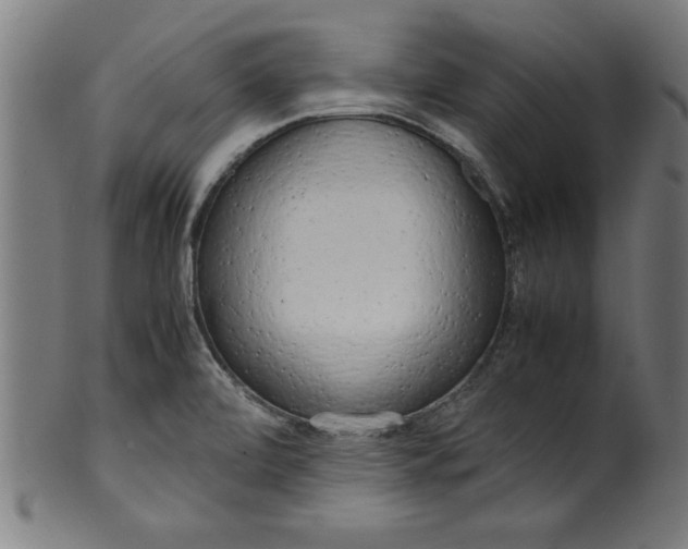 X0000099931472200806061442