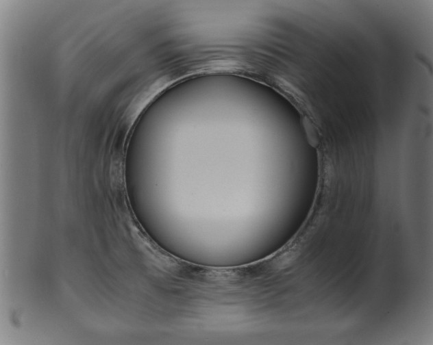 X0000099931473200806061442