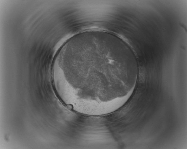 X0000099931474200806061442