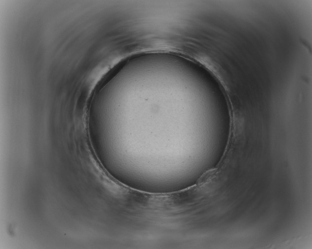 X0000099931477200806061442