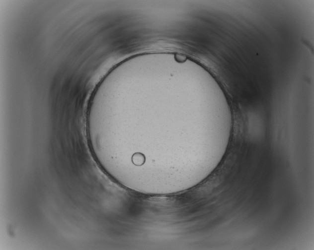 X0000099931478200806061442