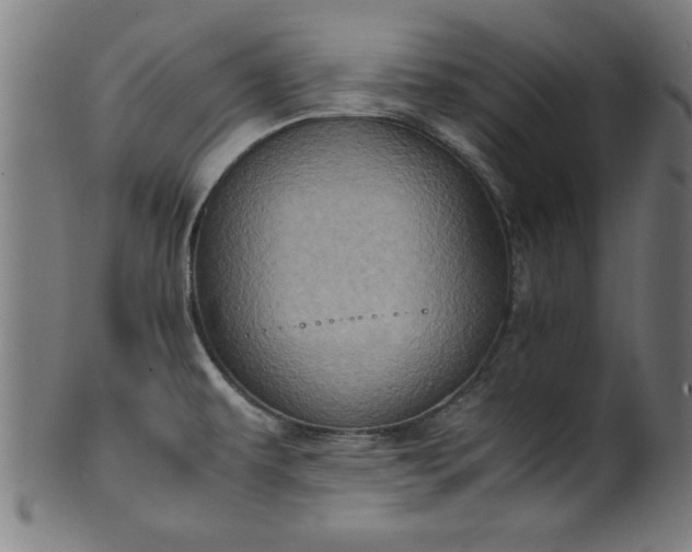 X0000099931479200806061442