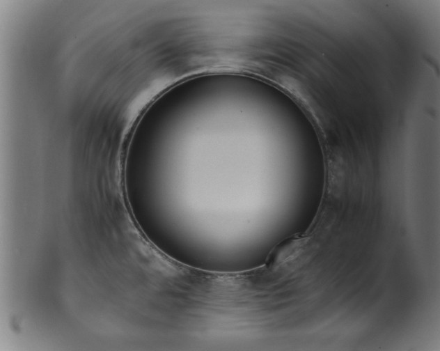 X0000099931480200806061442