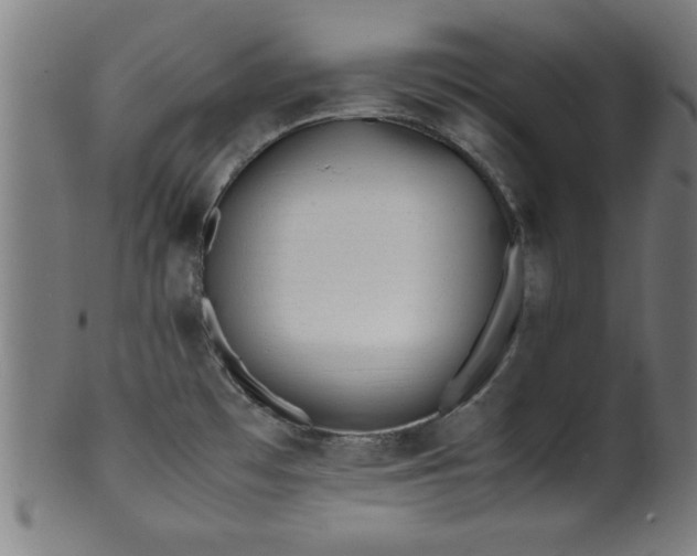 X0000099931481200806061442