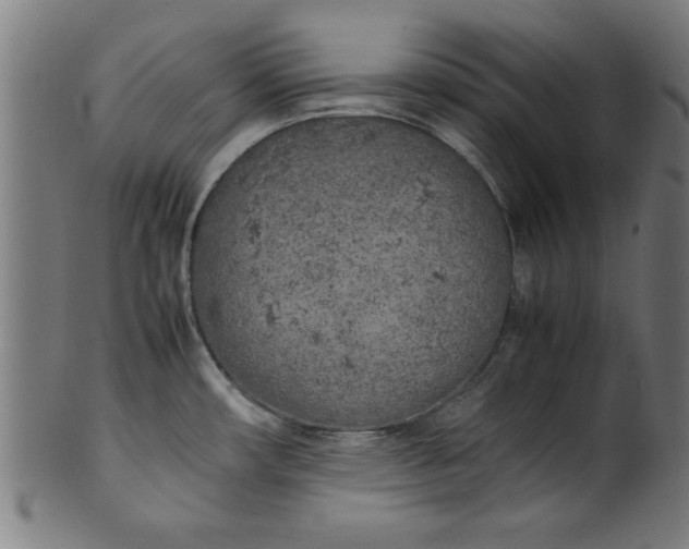 X0000099931482200806061442