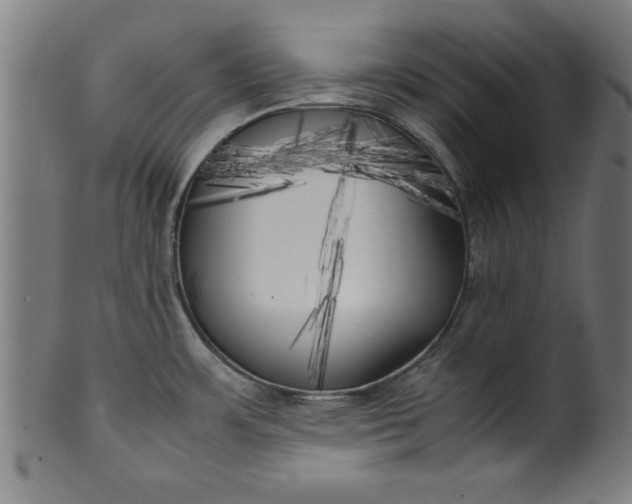 X0000099931483200806061442