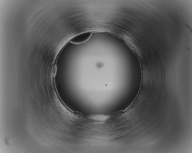 X0000099931484200806061441