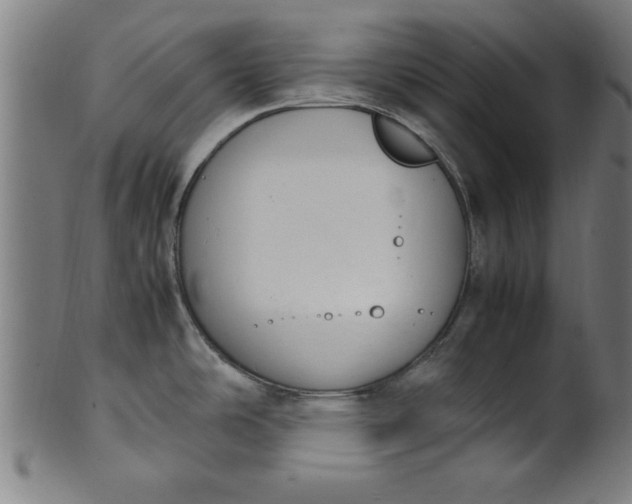 X0000099931486200806061441