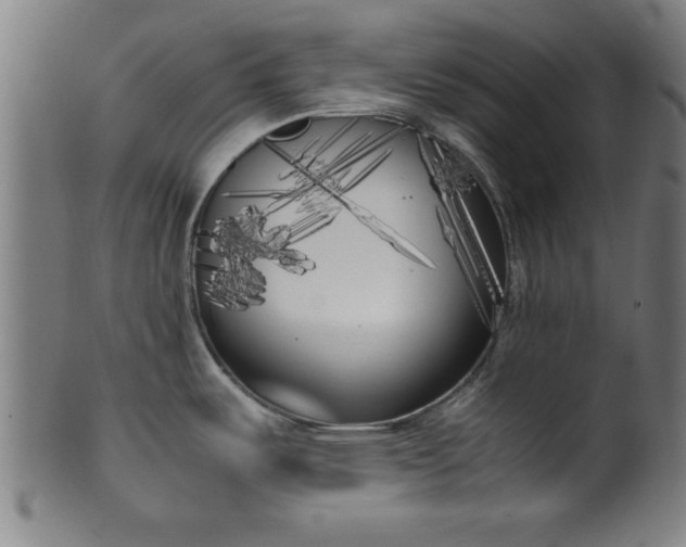 X0000099931487200806061441