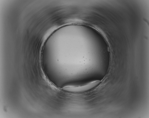 X0000099931488200806061441