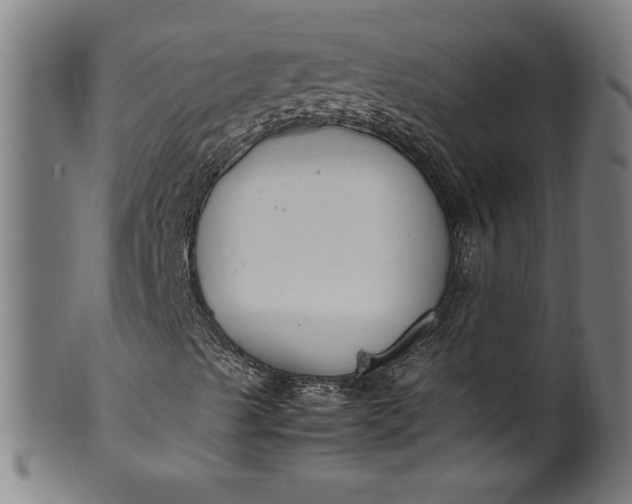 X0000099931489200806061441