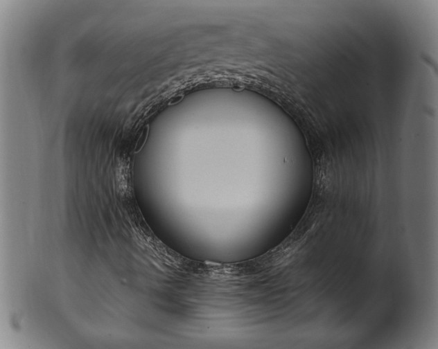 X0000099931490200806061441