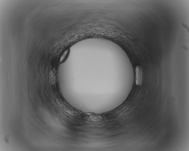 X0000099931491200806061441