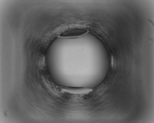 X0000099931492200806061441