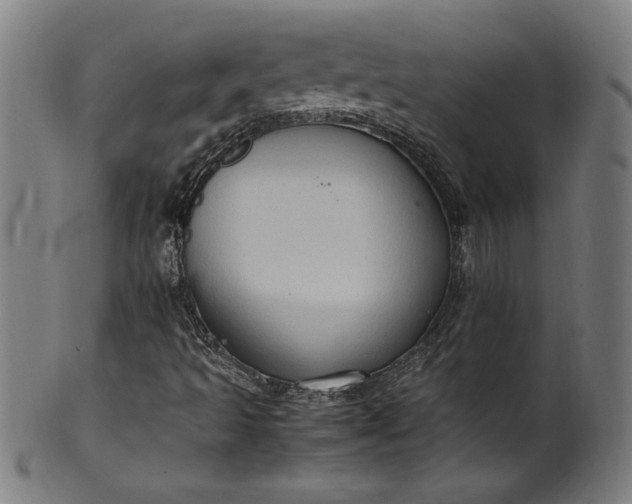 X0000099931493200806061441