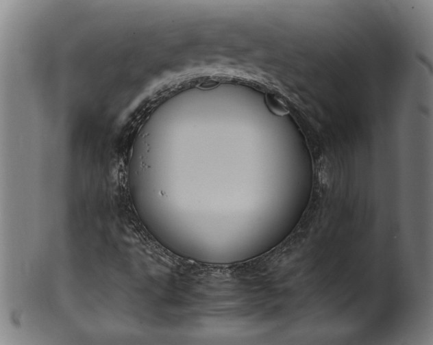 X0000099931495200806061441