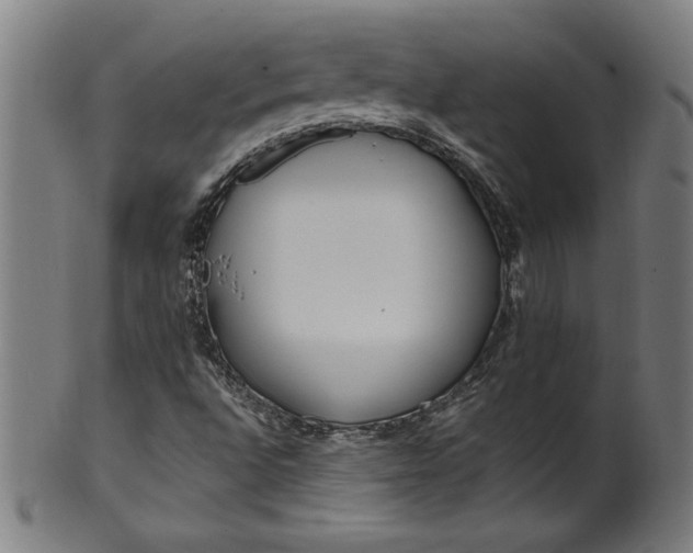 X0000099931496200806061441