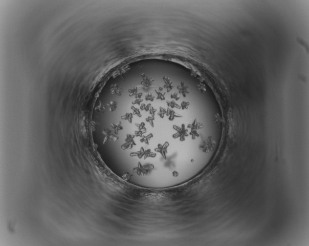 X0000099931497200806061441