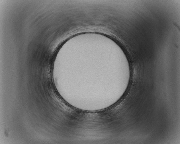 X0000099931498200806061441