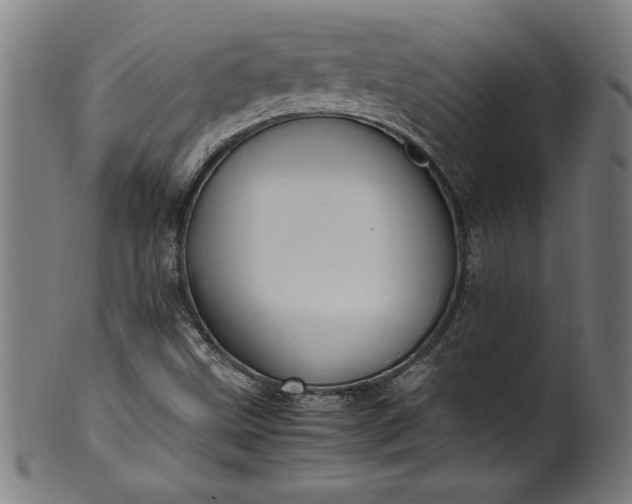 X0000099931499200806061441