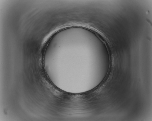 X0000099931502200806061441