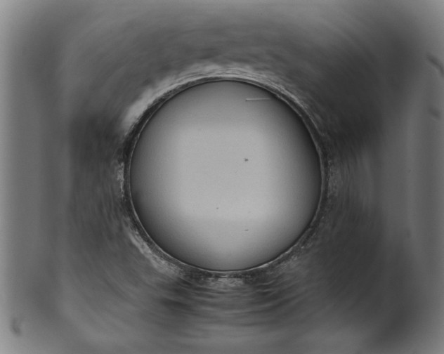 X0000099931503200806061441