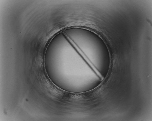 X0000099931505200806061441