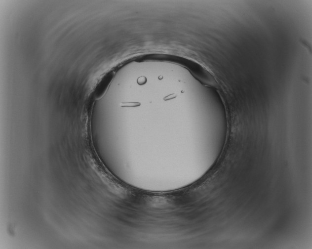 X0000099931507200806061441