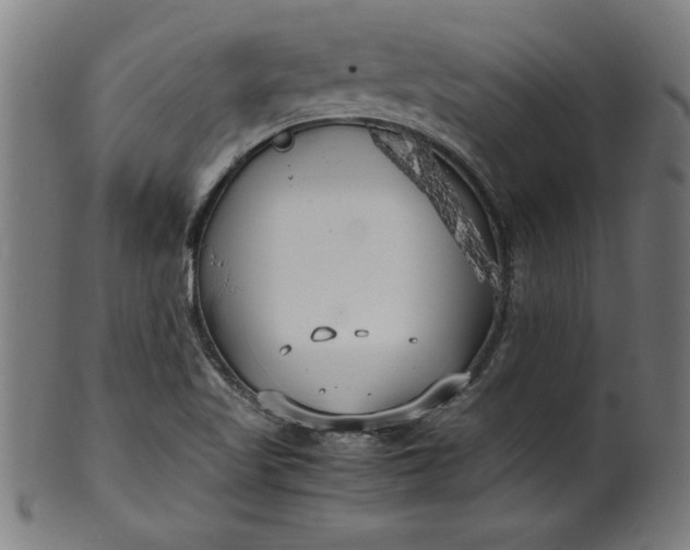 X0000099931509200806061441