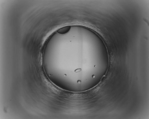 X0000099931510200806061441