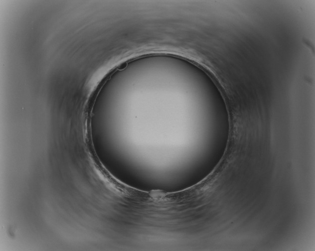 X0000099931511200806061441