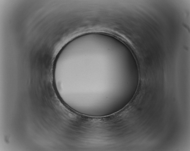 X0000099931512200806061441