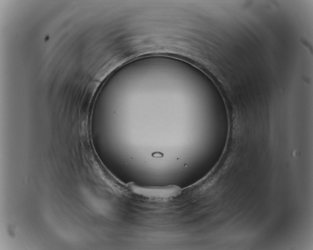 X0000099931513200806061441