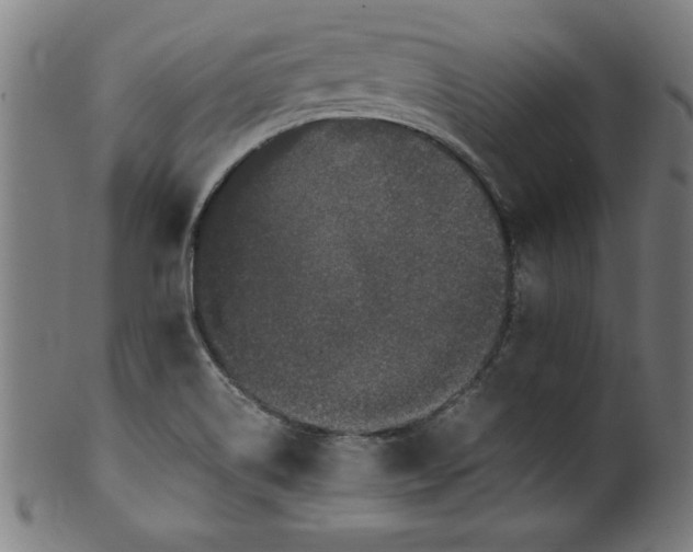 X0000099931514200806061441