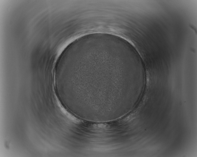 X0000099931515200806061441