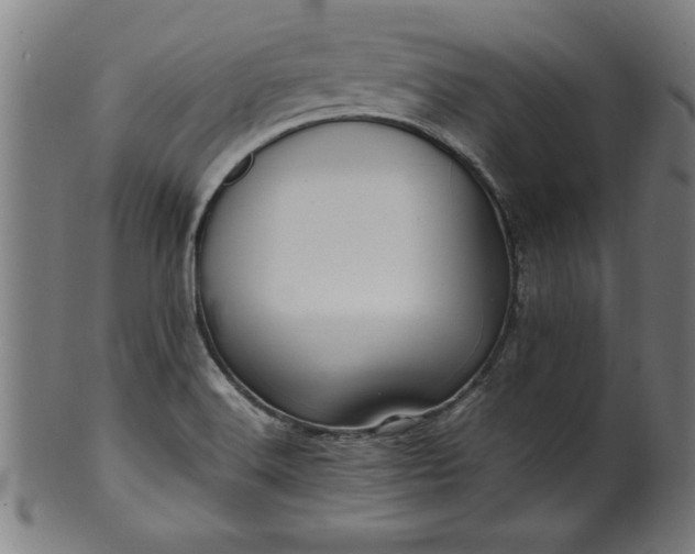 X0000099931516200806061441