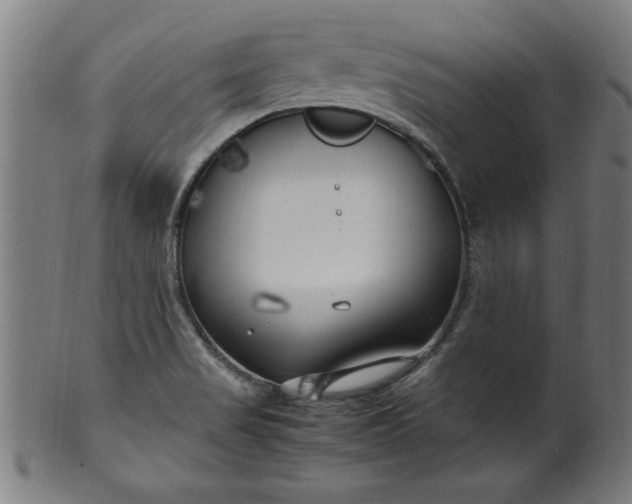 X0000099931517200806061441