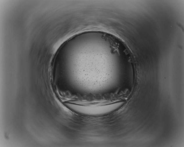 X0000099931519200806061441