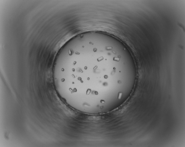 X0000099931521200806061441