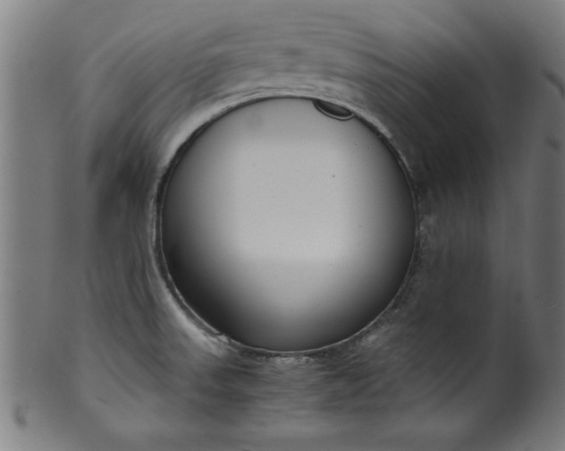 X0000099931523200806061441